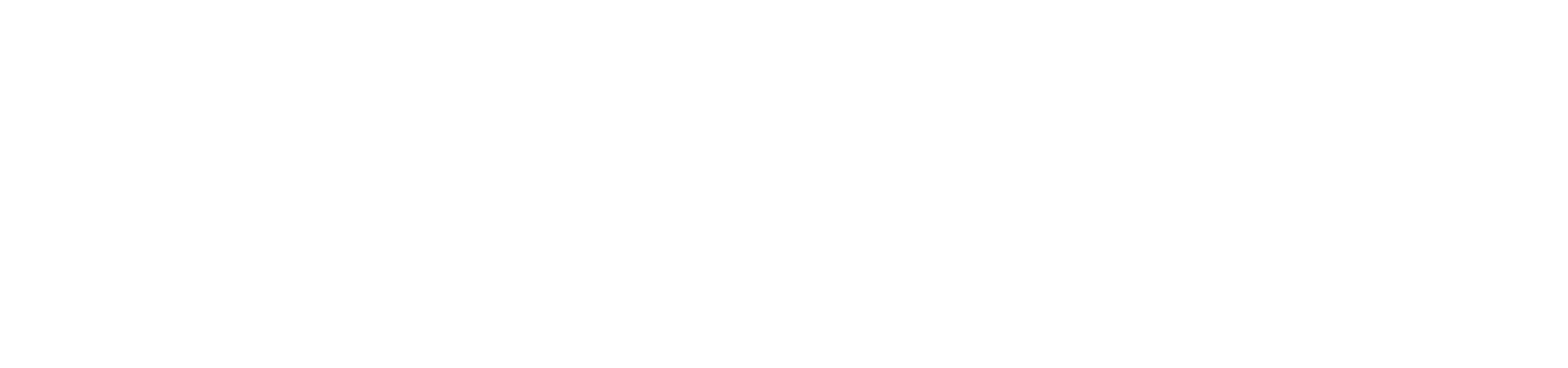 Magna